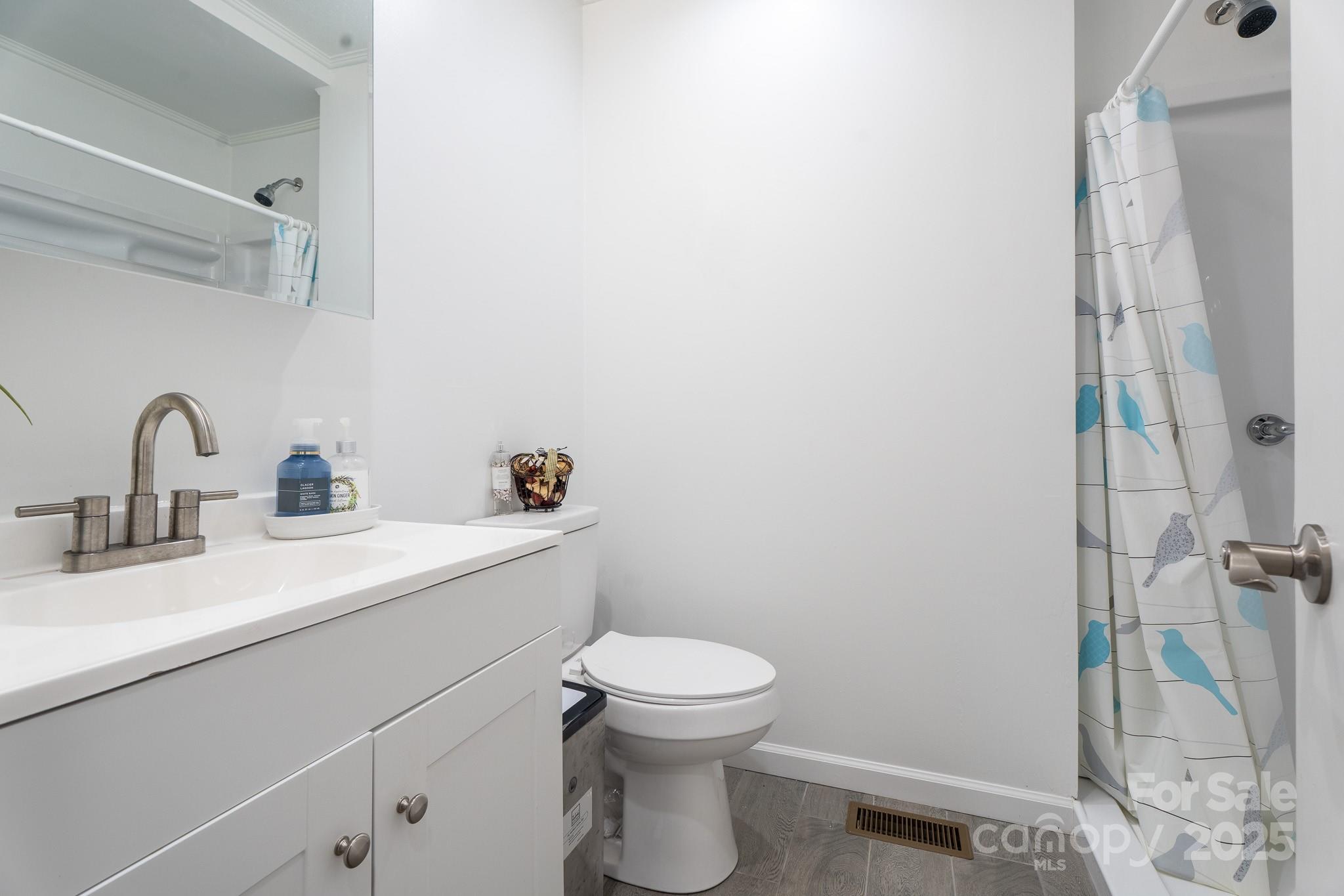 584 Southside Church Road Lincolnton, NC 28092 - Photo 20 of 28 a bathroom with a sink a toilet and a mirror