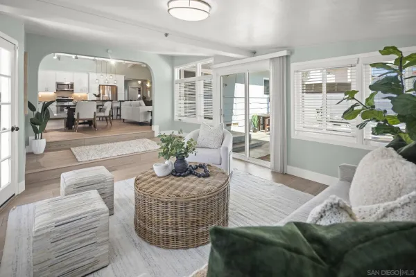 a living room with furniture and a potted plant