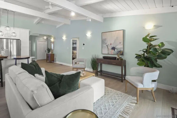 a living room with furniture potted plant and a lamp