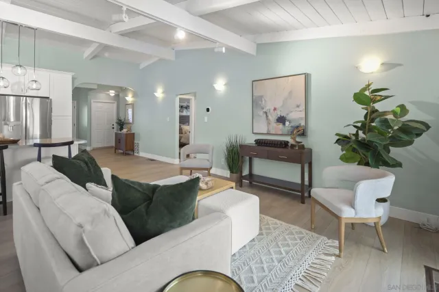 a living room with furniture potted plant and a lamp
