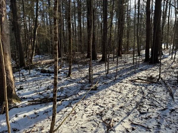 0 Mathews Road South Deerfield, MA 01373 - Photo 18 of 23 Gallery Image 18