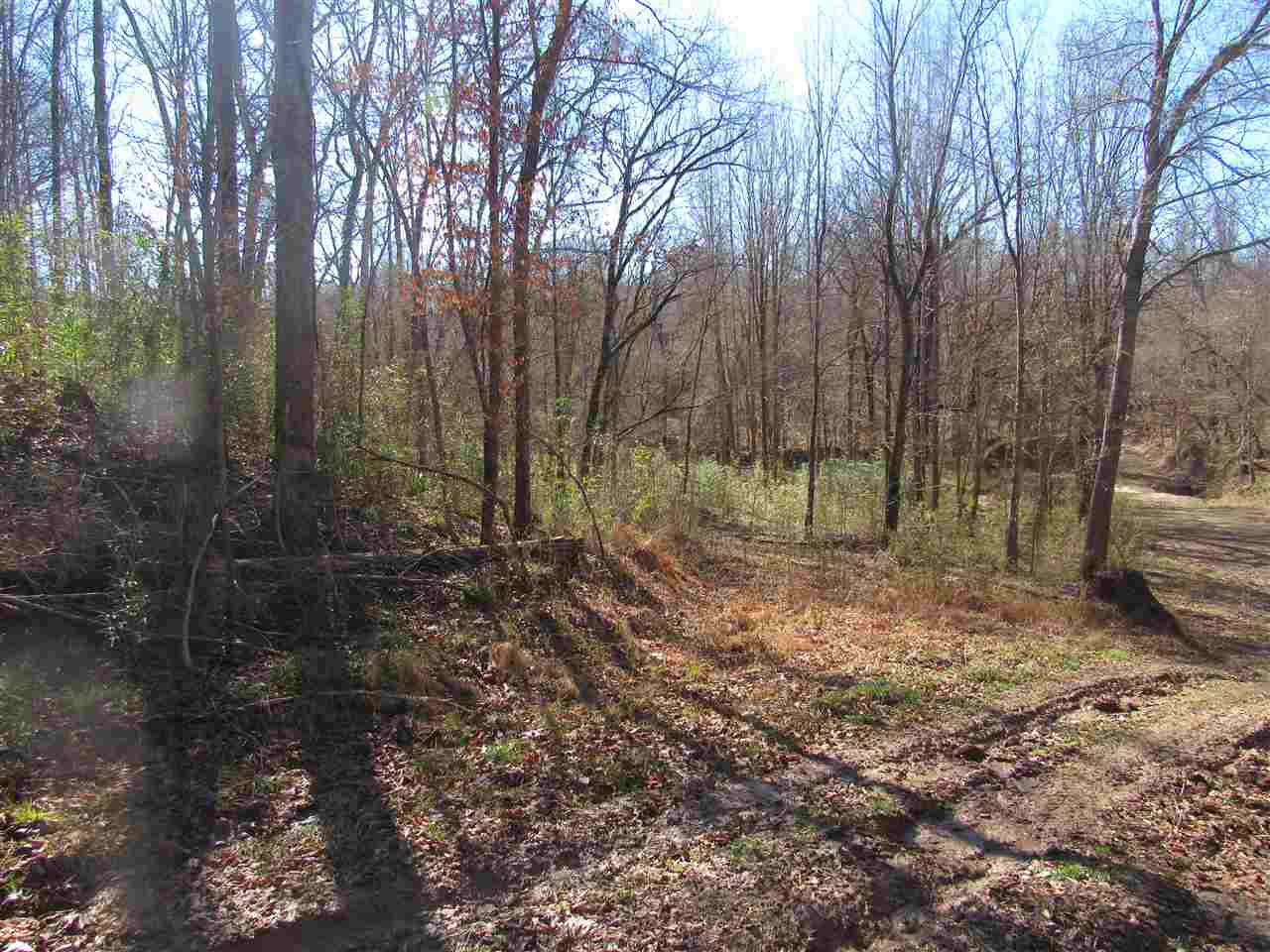 0 Rodney Road Lorman, MS 39096 - Photo 1 of 18 Photo 1
