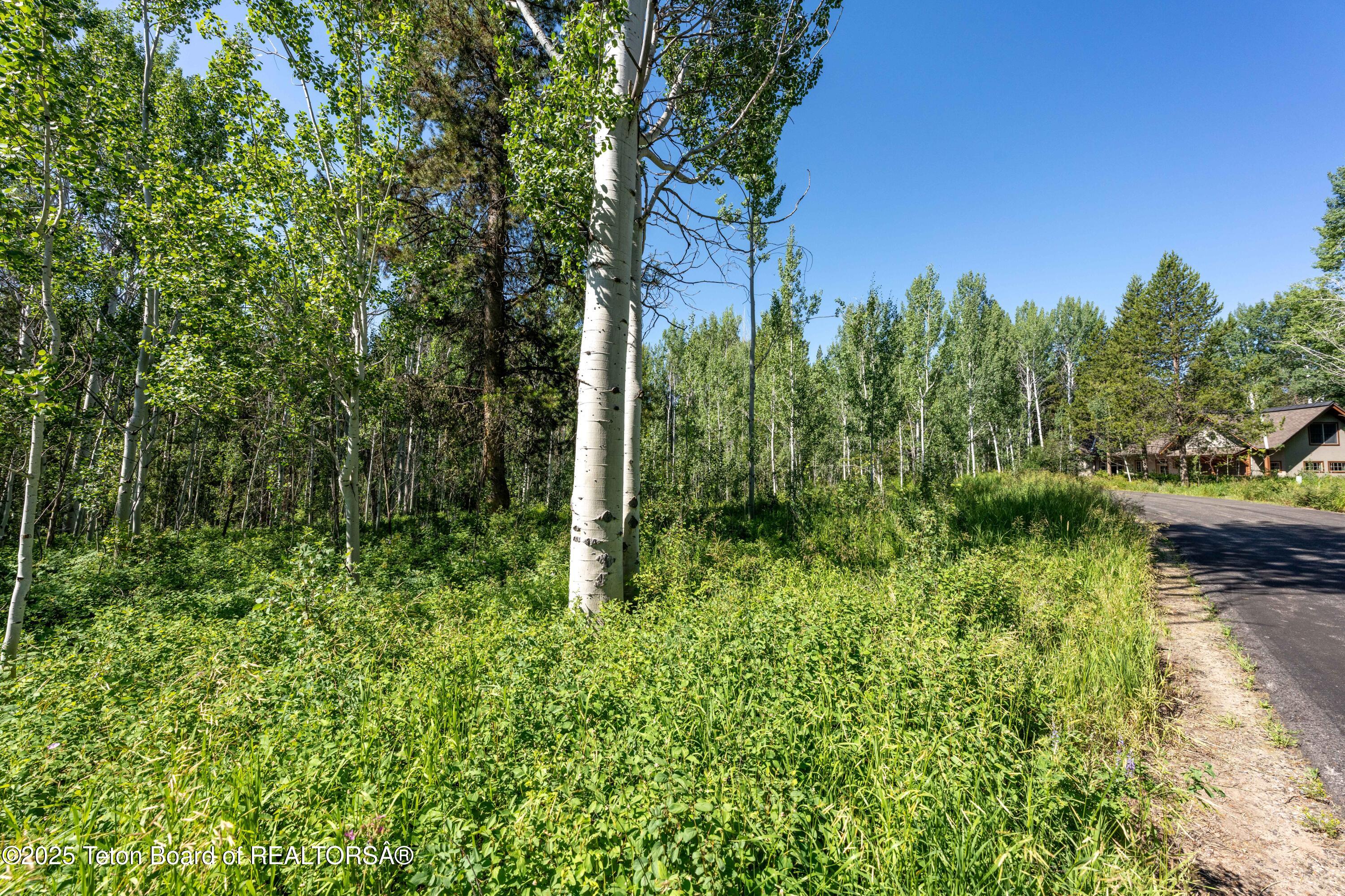 5300 Woodchuck Road Wilson, WY 83014 - Photo 5 of 10 5-Lot9Woodchuck_JGPhoto-7