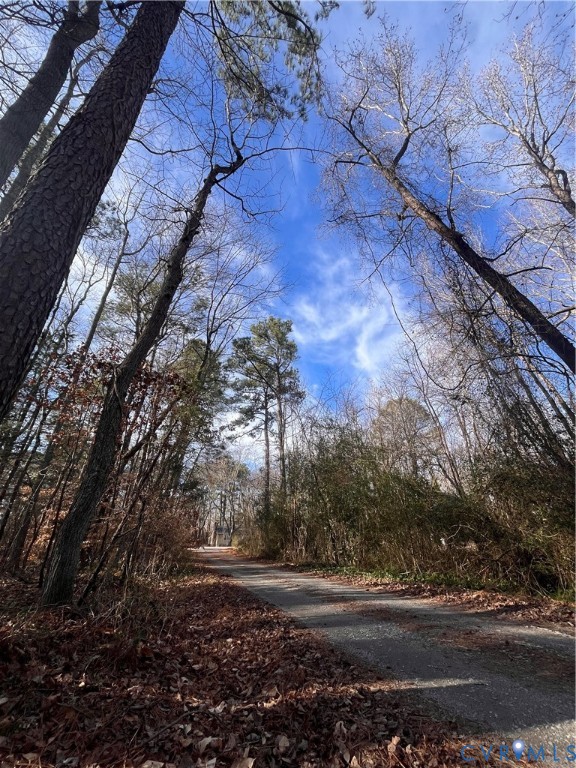 5701 Patterson Road Quinton, VA 23141 - Photo 6 of 7 a view of dirt yard with a large tree