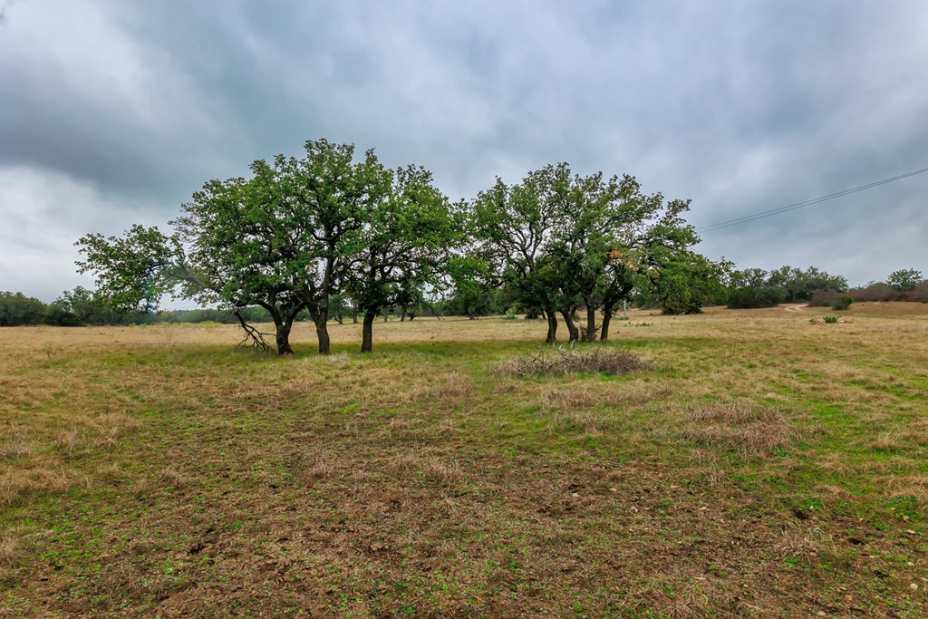 1755 County Road Brady, TX 76825 - Photo 4 of 28 Photo 4
