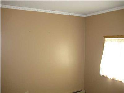 8480 Maple Hill Road Howard City, MI 49329 - Photo 17 of 19 Additional Photo