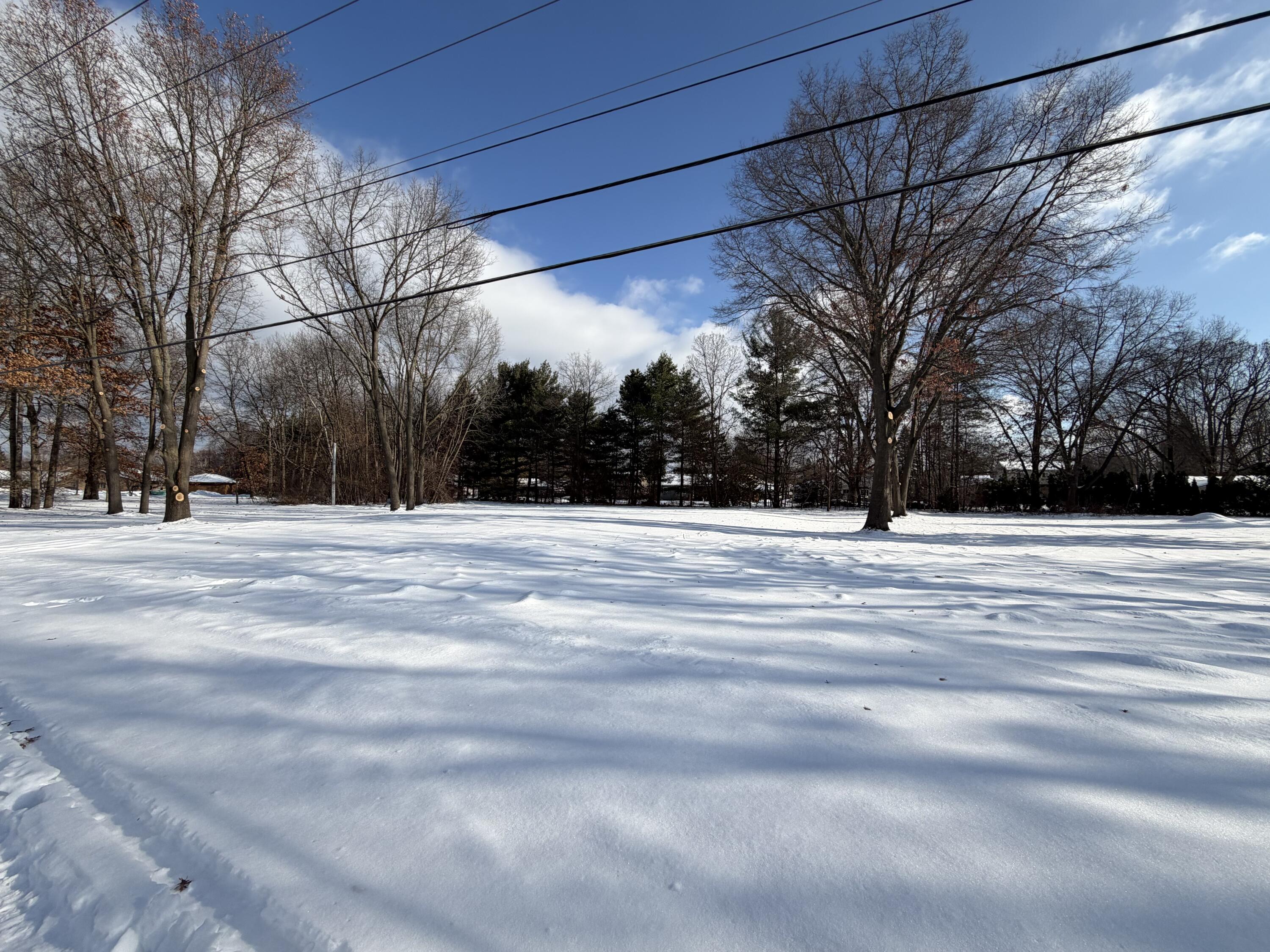Vl Harvey Lake Road Highland, MI 48356 - Photo 2 of 7 IMG_3624