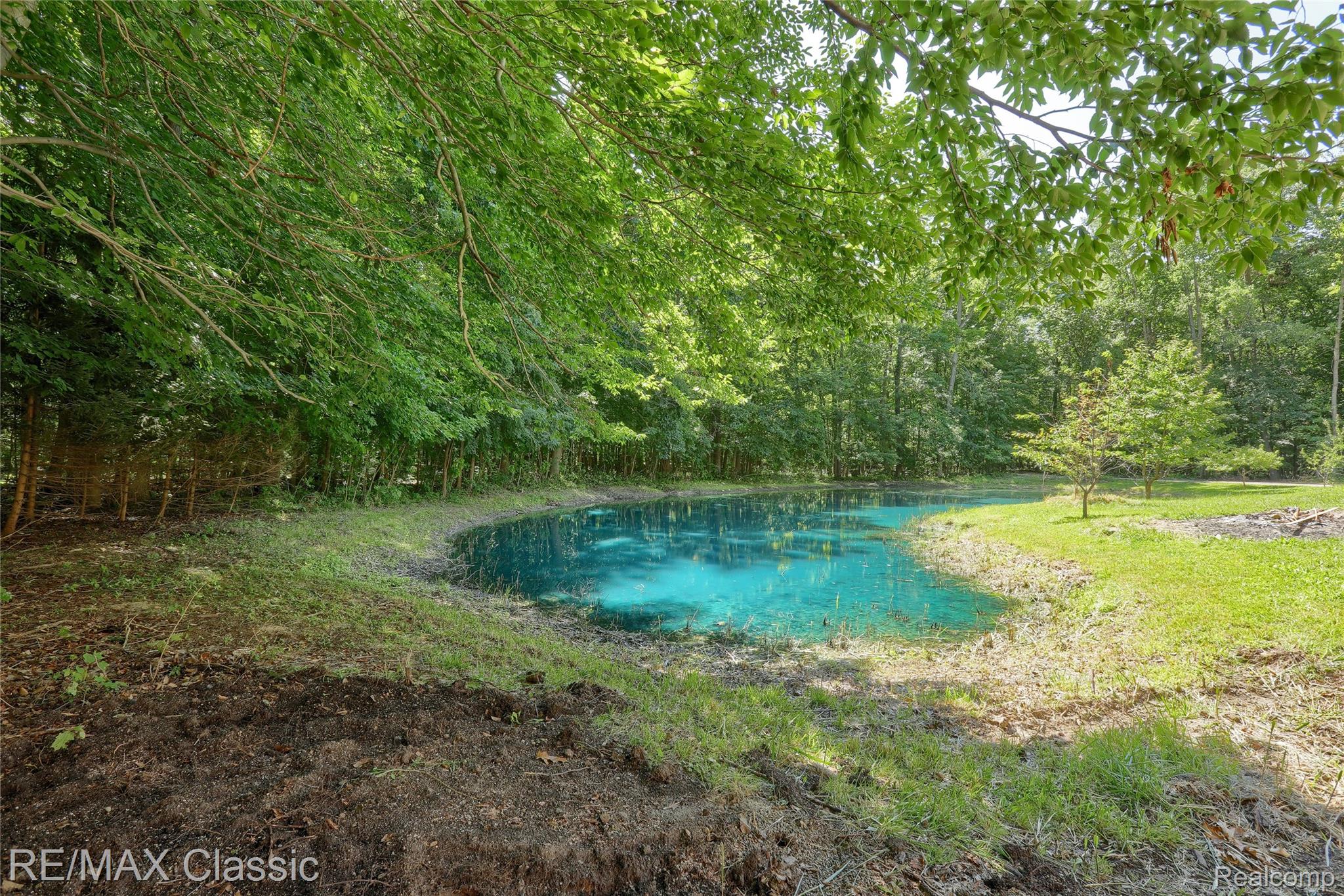 16645 Bordman Road Allenton, MI 48002 - Photo 4 of 48 Pond view