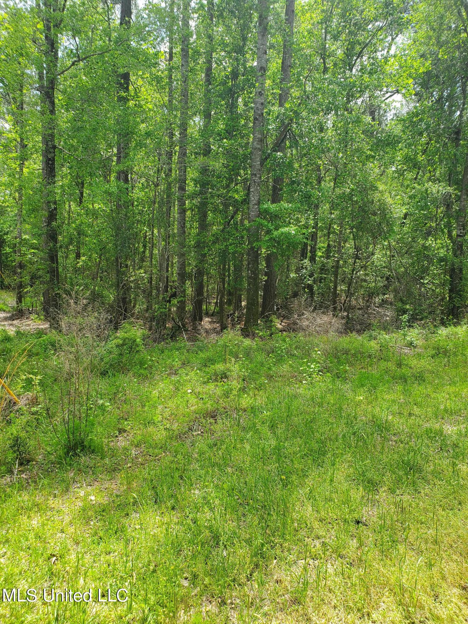 198 Price Road Perkinston, MS 39573 - Photo 3 of 6 East side of property