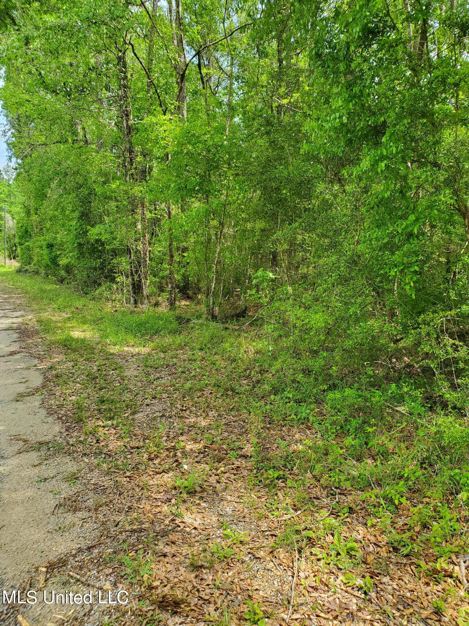 198 Price Road Perkinston, MS 39573 - Photo 4 of 6 View from East side of property