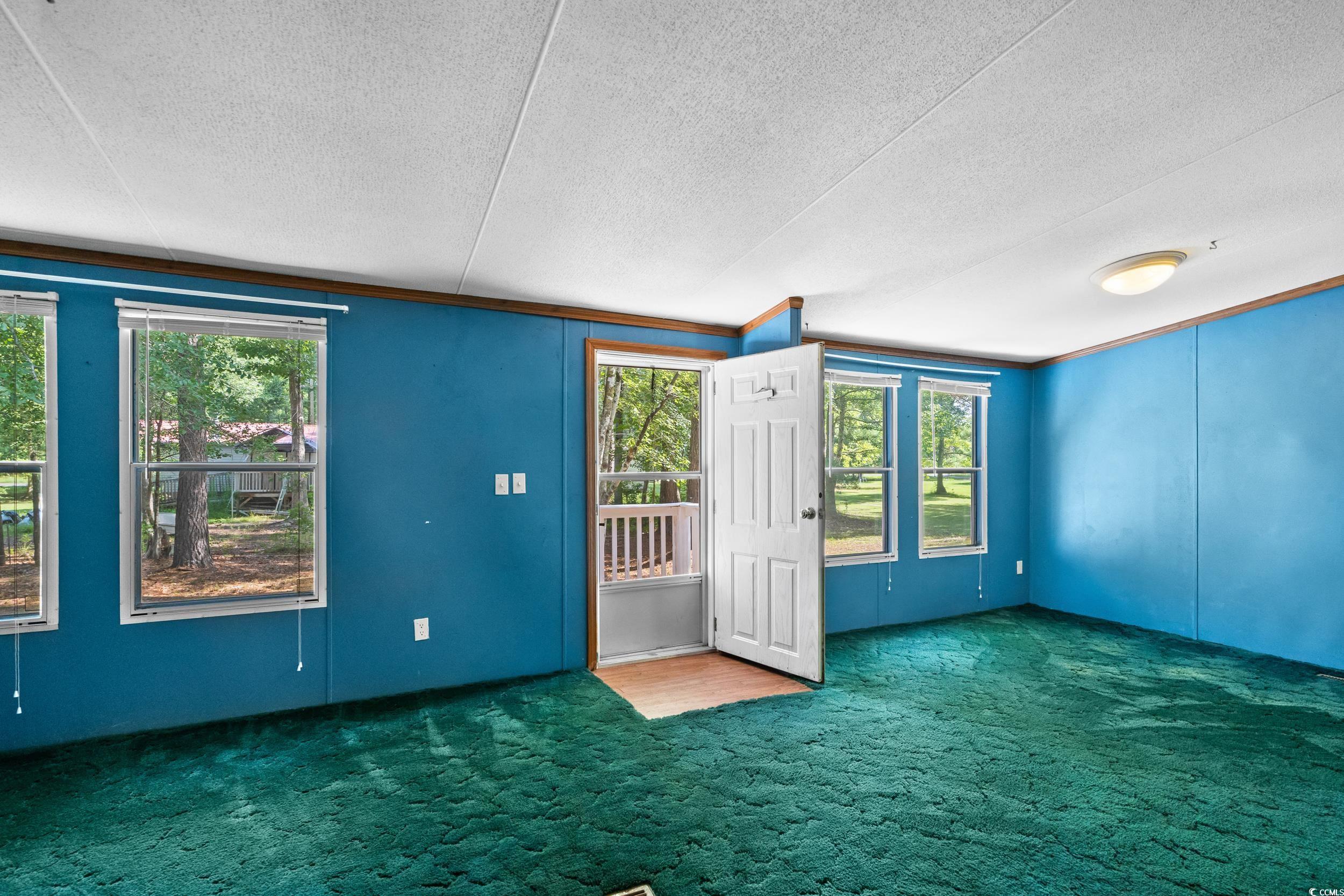 1731 Mineral Springs Road Conway, SC 29527 - Photo 11 of 38 Carpeted spare room with a textured ceiling and a
