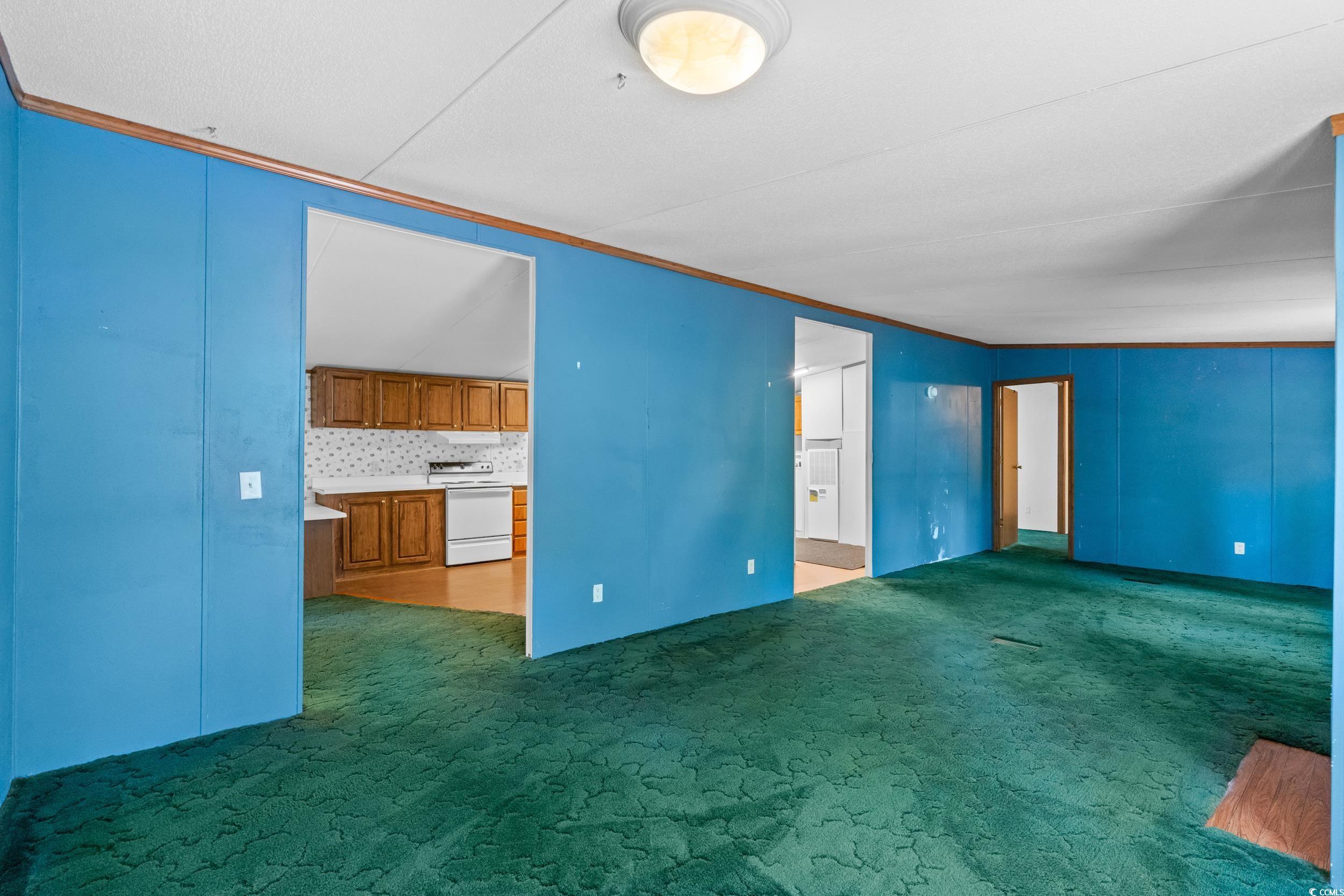 1731 Mineral Springs Road Conway, SC 29527 - Photo 12 of 38 Unfurnished living room with carpet floors and orn