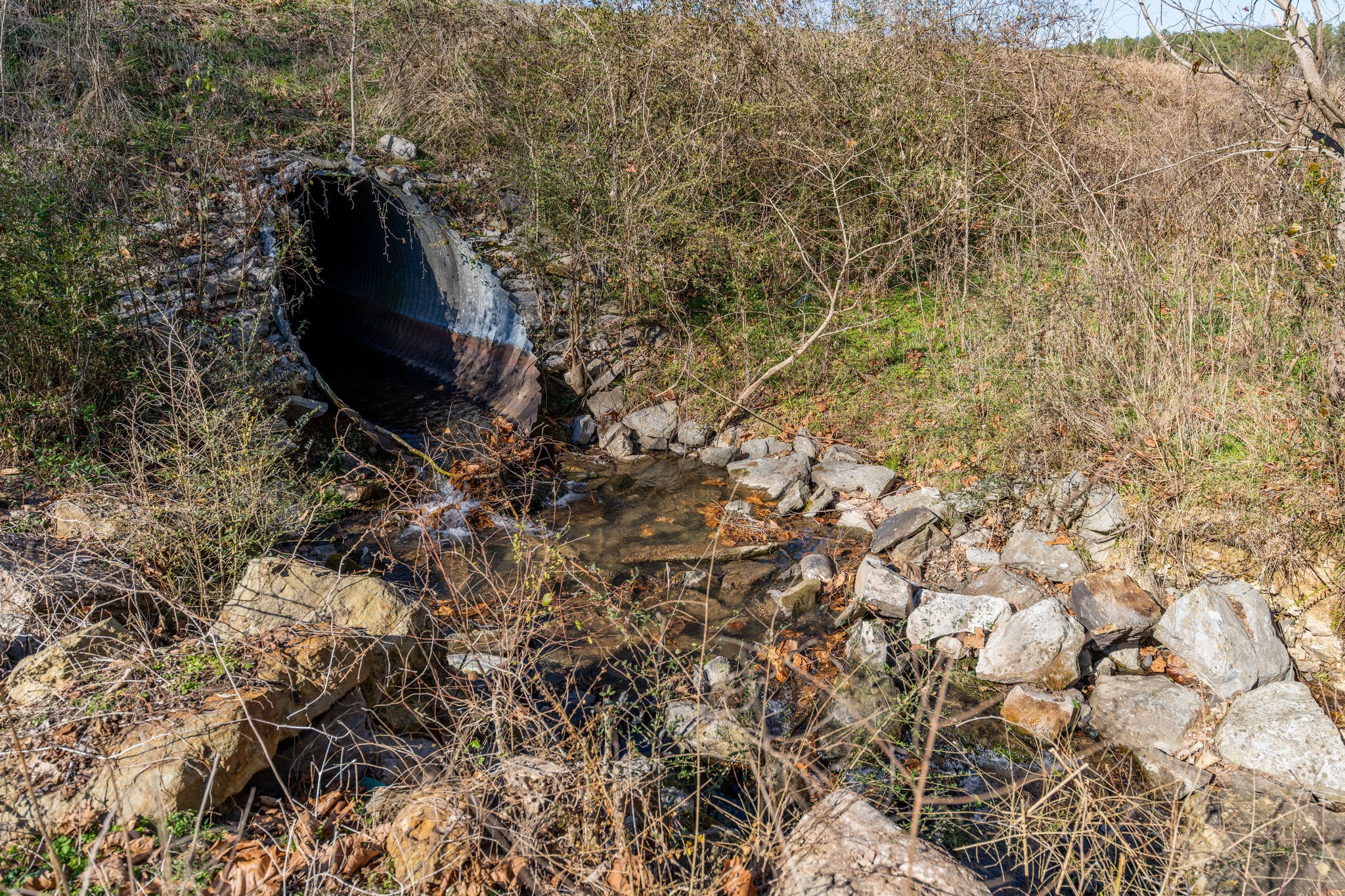 5725 Wayland Springs Road Iron City, TN 38463 - Photo 41 of 84