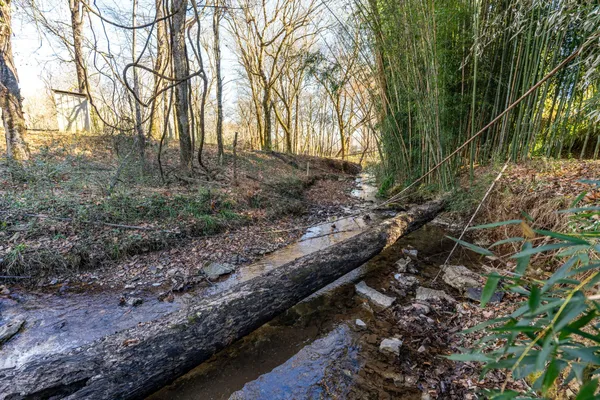 $795,000 | 5725 Wayland Springs Road, Iron City, TN 38463