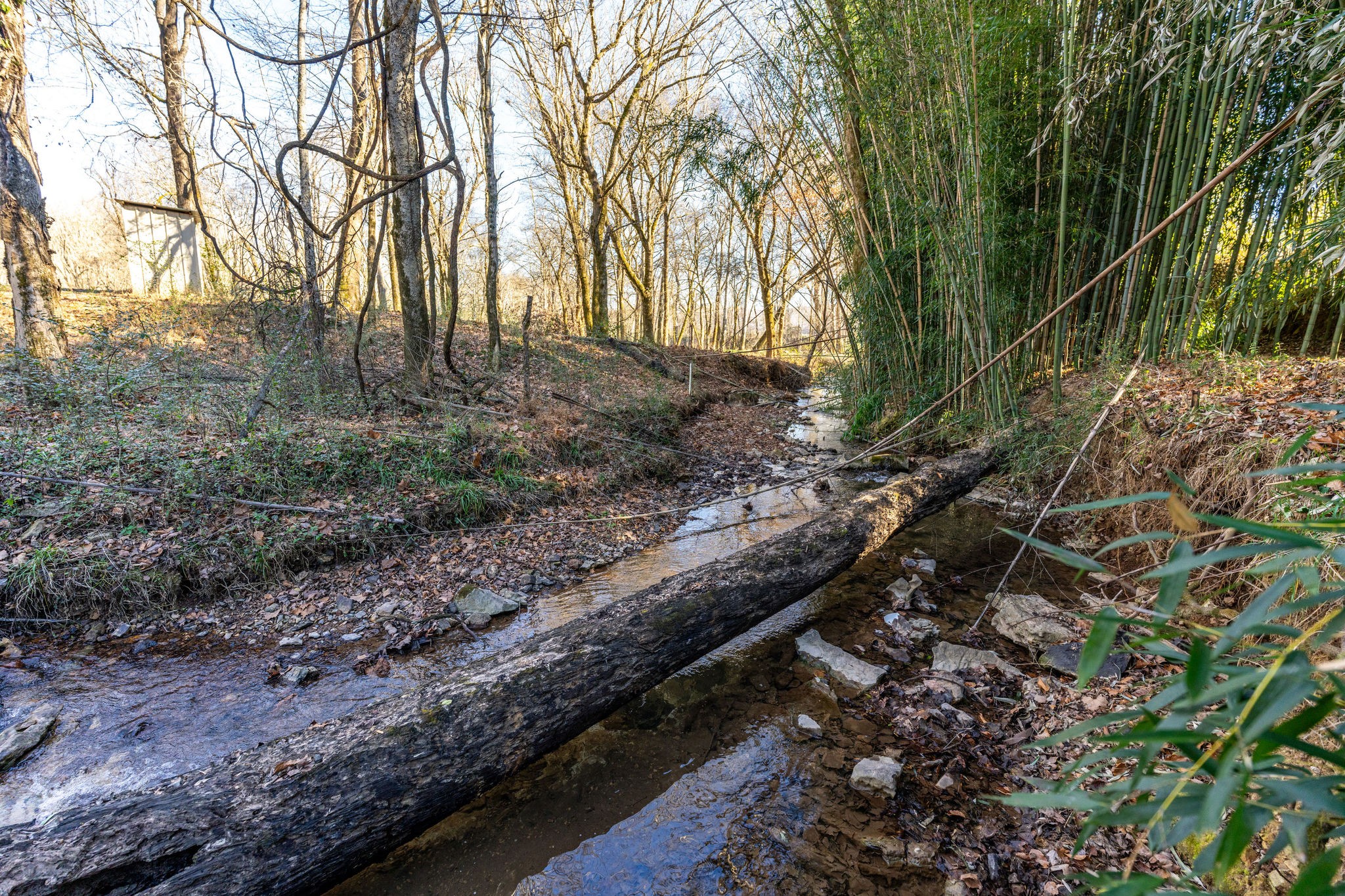 5725 Wayland Springs Road Iron City, TN 38463 - Photo 45 of 84