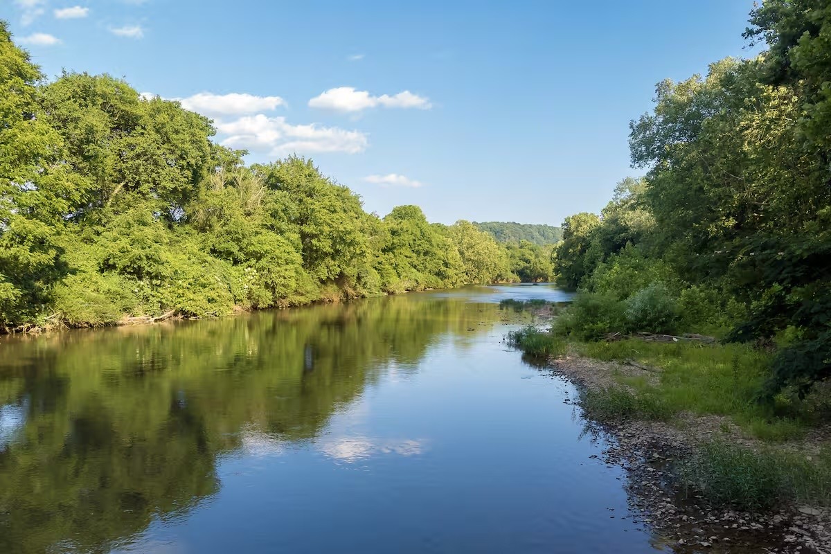 5725 Wayland Springs Road Iron City, TN 38463 - Photo 65 of 84