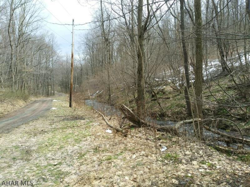 1297 Miller Road Schellsburg, PA 15559 - Photo 1 of 12 a view of a forest
