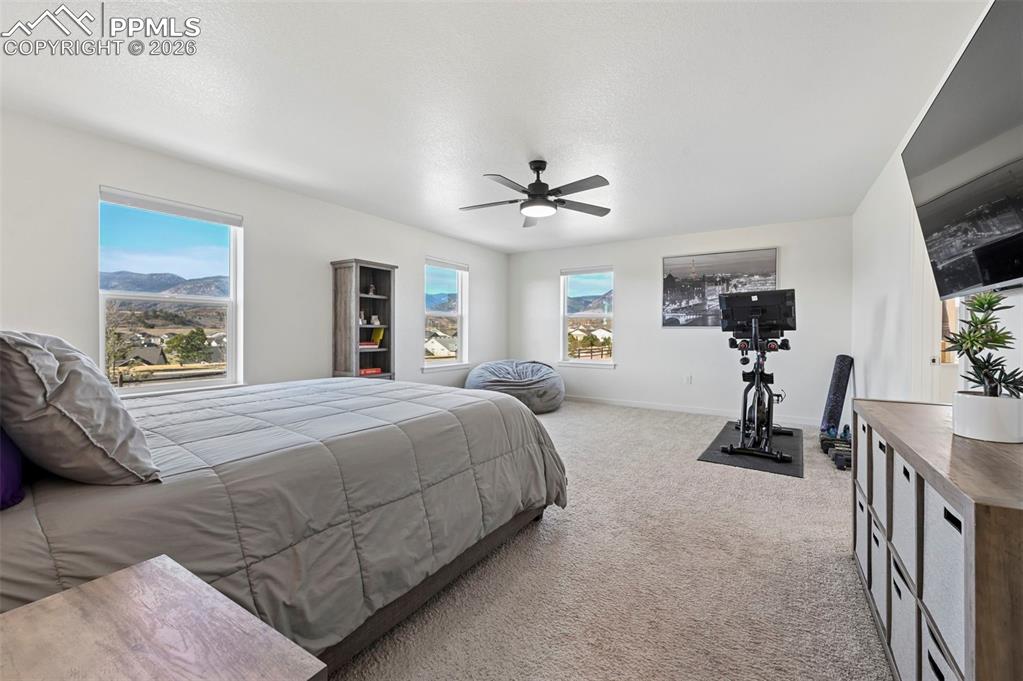 15945 Little Bluestem Road Monument, CO 80132 - Photo 12 of 49 a bedroom with a bed a chandelier and flat screen tv