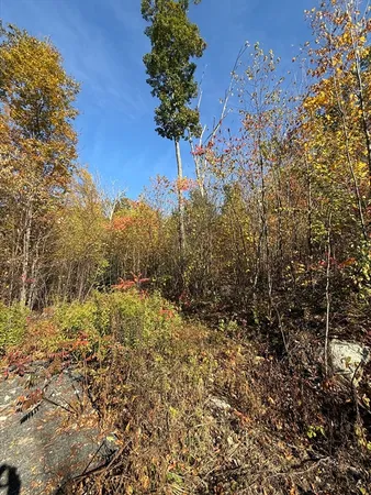 $85,000 | Lot 1 Amherst Road, Amherst, MA 01002