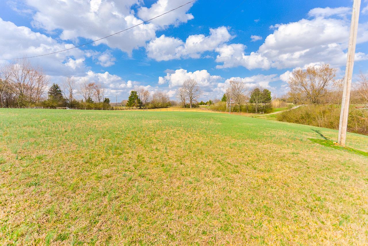 30 Shady Grove Cemetery Road Flintville, TN 37335 - Photo 5 of 25 Front lawn!
