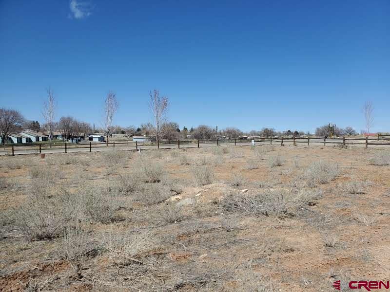 547 East 7th Street Cortez, CO 81321 - Photo 4 of 7 a view of ocean with large trees