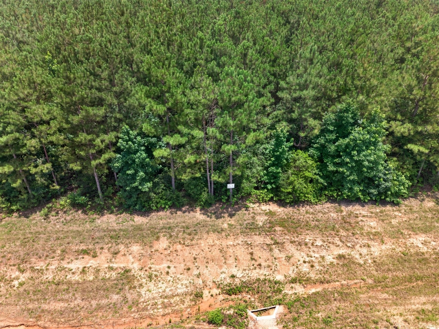 15261 Rubicon Road Willis, TX 77378 - Photo 1 of 3