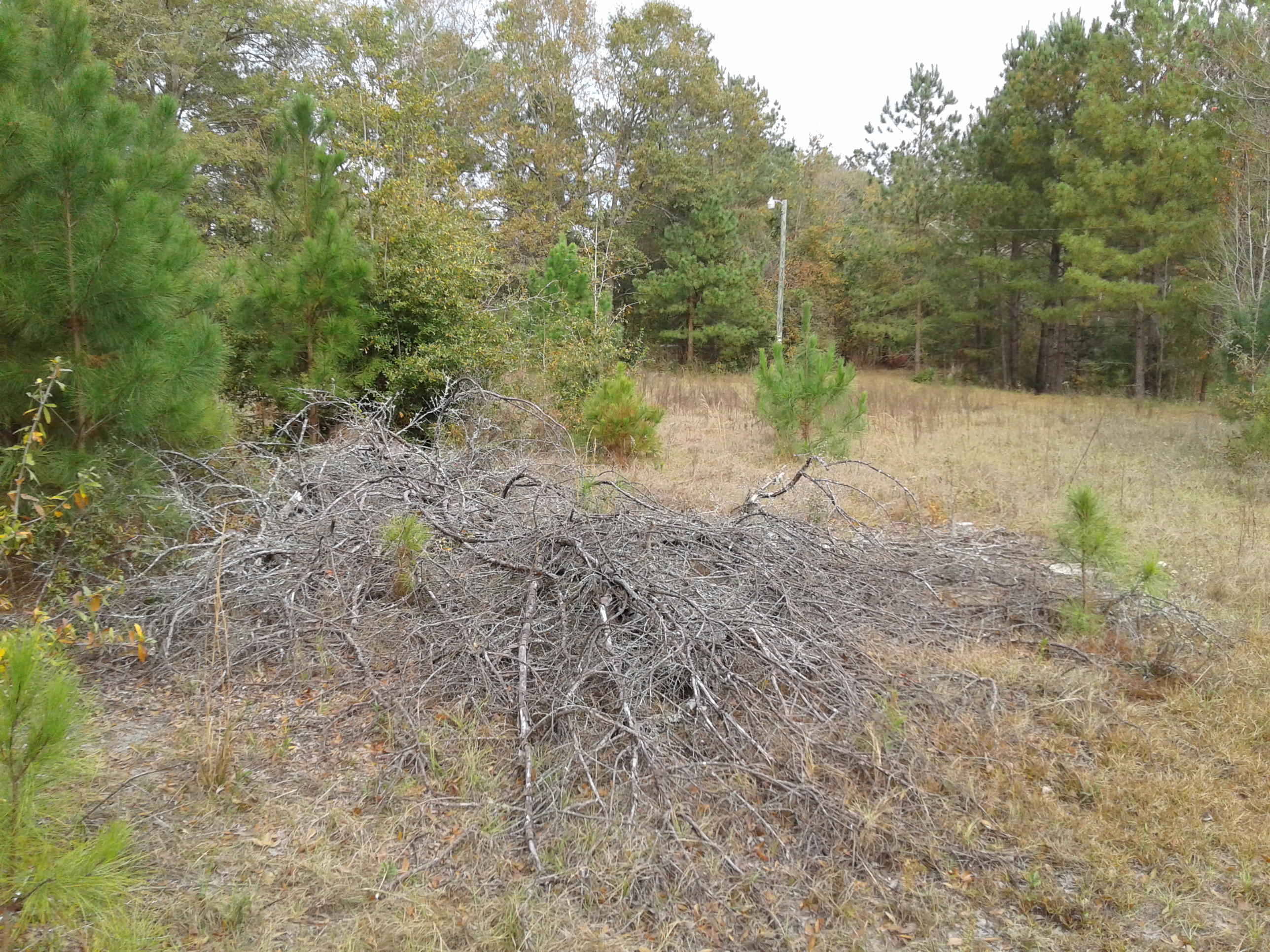 186 Podium Road Cordova, SC 29039 - Photo 5 of 7 20161130_150514