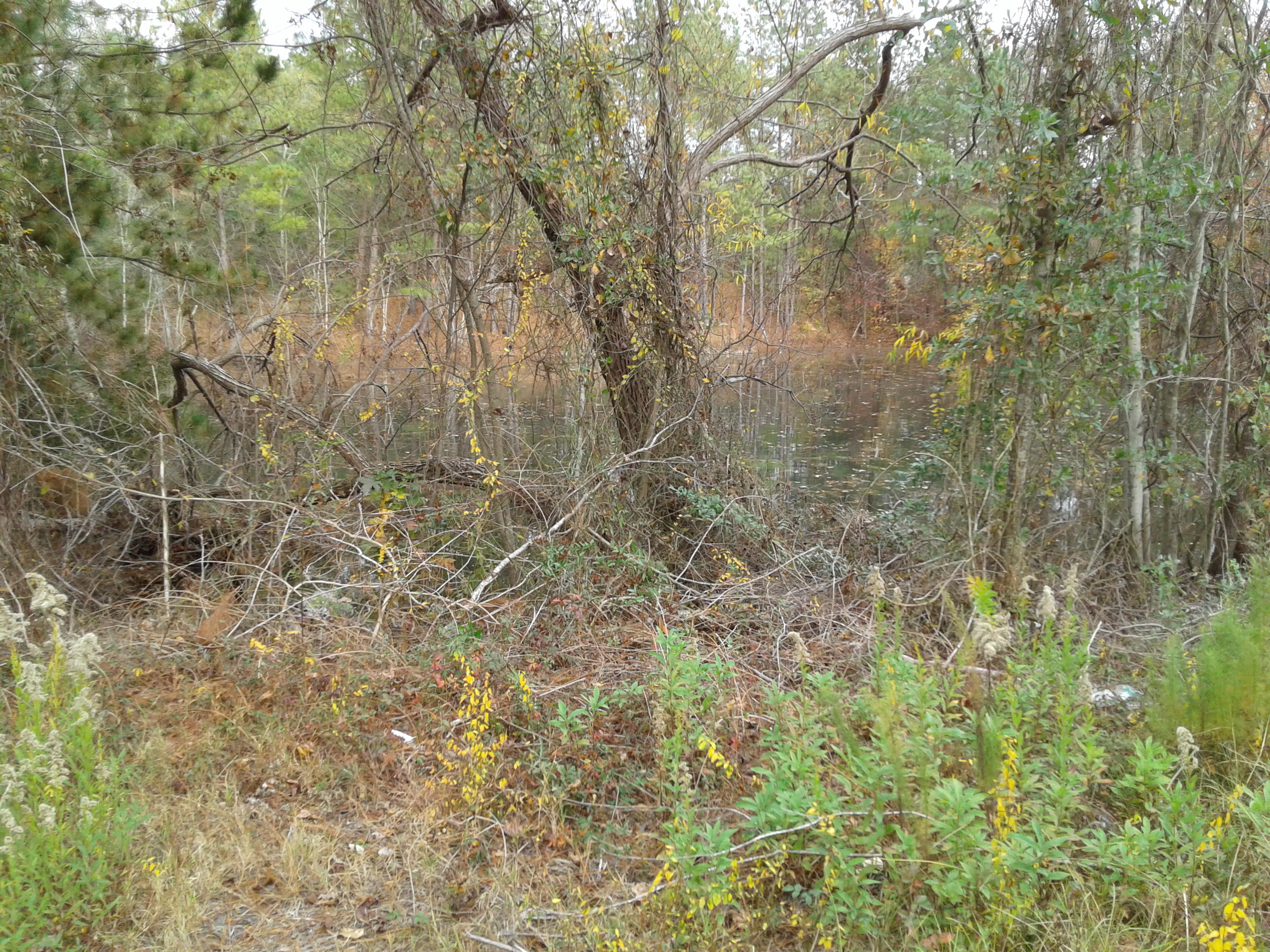 186 Podium Road Cordova, SC 29039 - Photo 7 of 7 20161130_150622