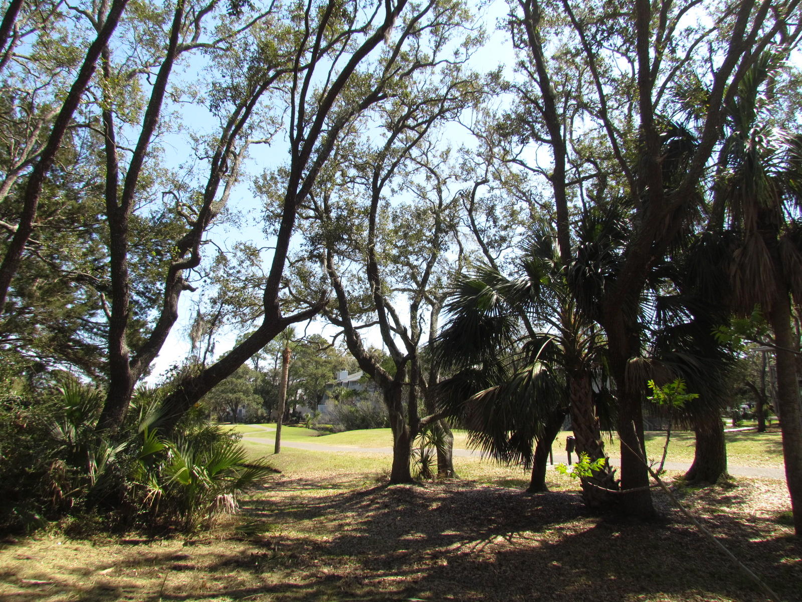 26 Battery Park Road Edisto Beach, SC 29438 - Photo 14 of 21 IMG_2877
