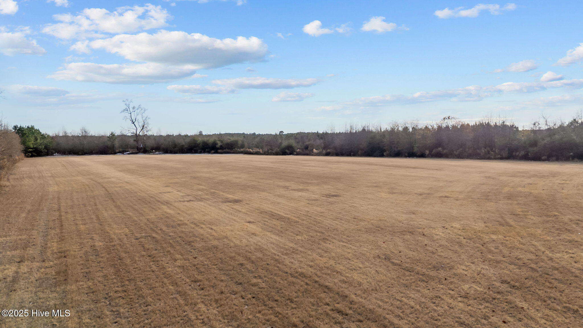 Tbd Wollett Mill Road Battleboro, NC 27809 - Photo 13 of 17 12-web-or-mls-DJI_20251209145608_0223_D