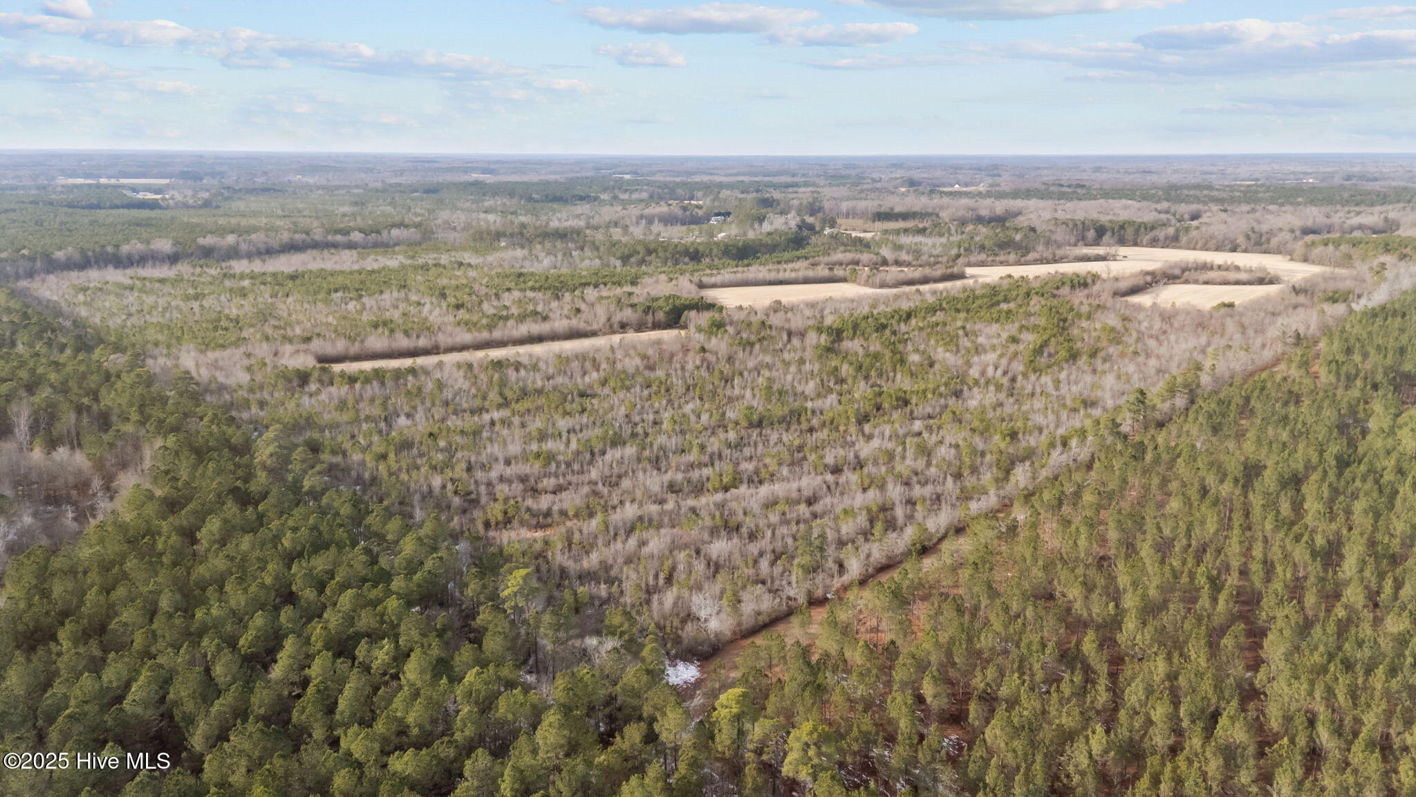 Tbd Wollett Mill Road Battleboro, NC 27809 - Photo 7 of 17 6-web-or-mls-DJI_20251209144924_0216_D