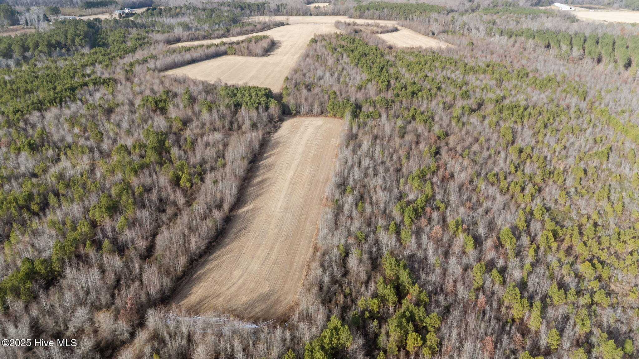 Tbd Wollett Mill Road Battleboro, NC 27809 - Photo 8 of 17 7-web-or-mls-DJI_20251209145021_0217_D