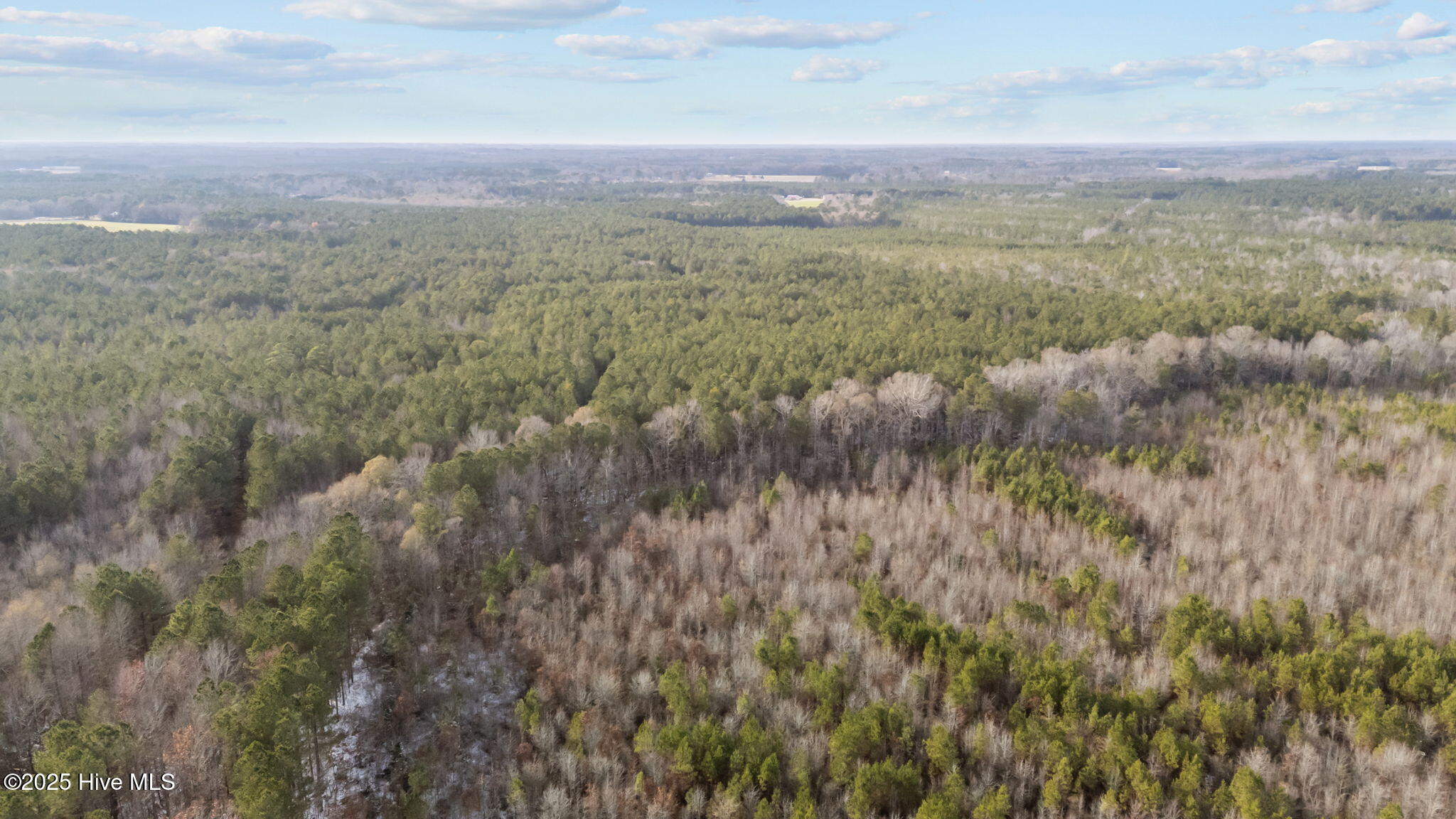 Tbd Wollett Mill Road Battleboro, NC 27809 - Photo 9 of 17 8-web-or-mls-DJI_20251209145100_0218_D