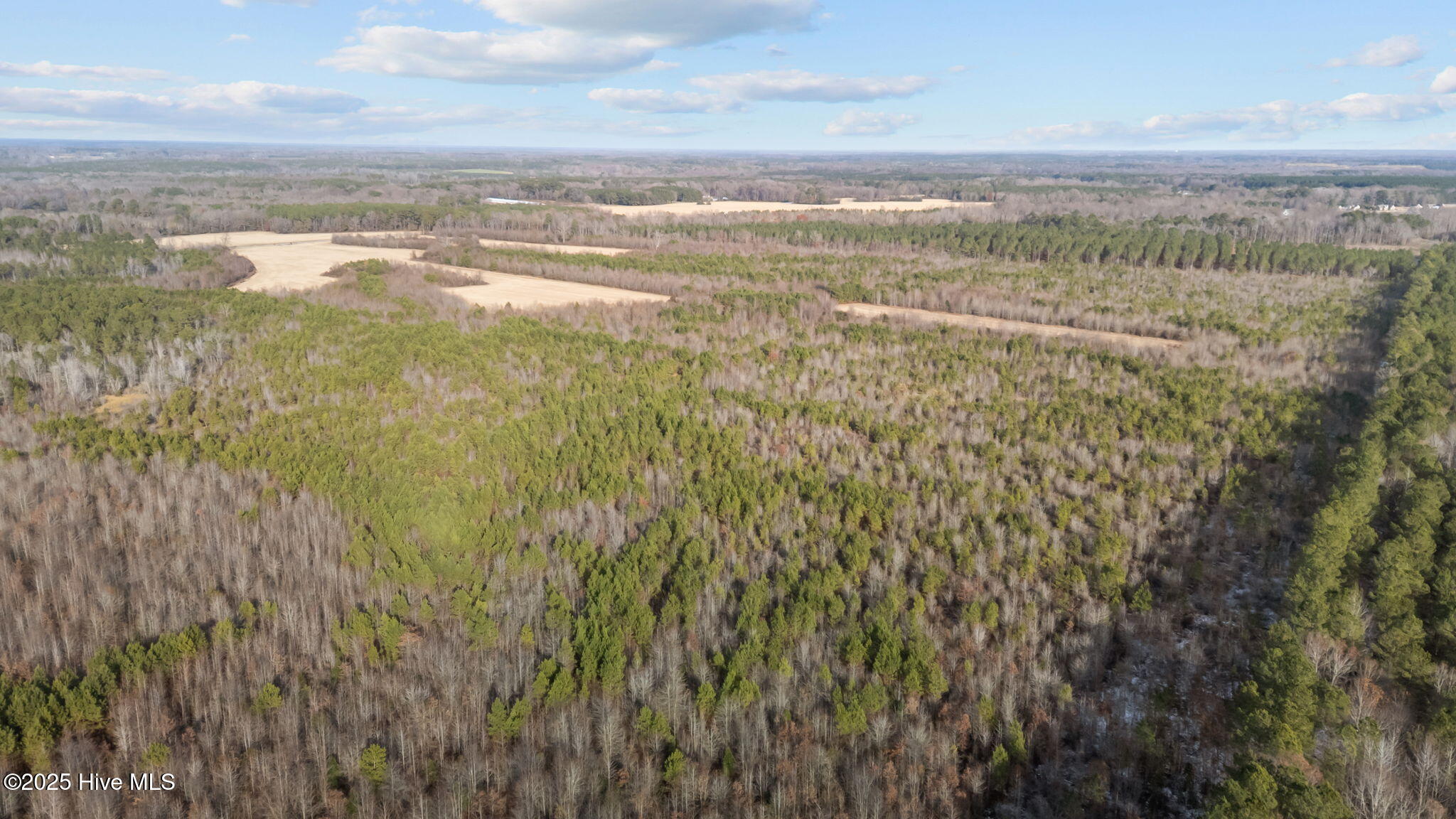 Tbd Wollett Mill Road Battleboro, NC 27809 - Photo 10 of 17 9-web-or-mls-DJI_20251209145157_0219_D
