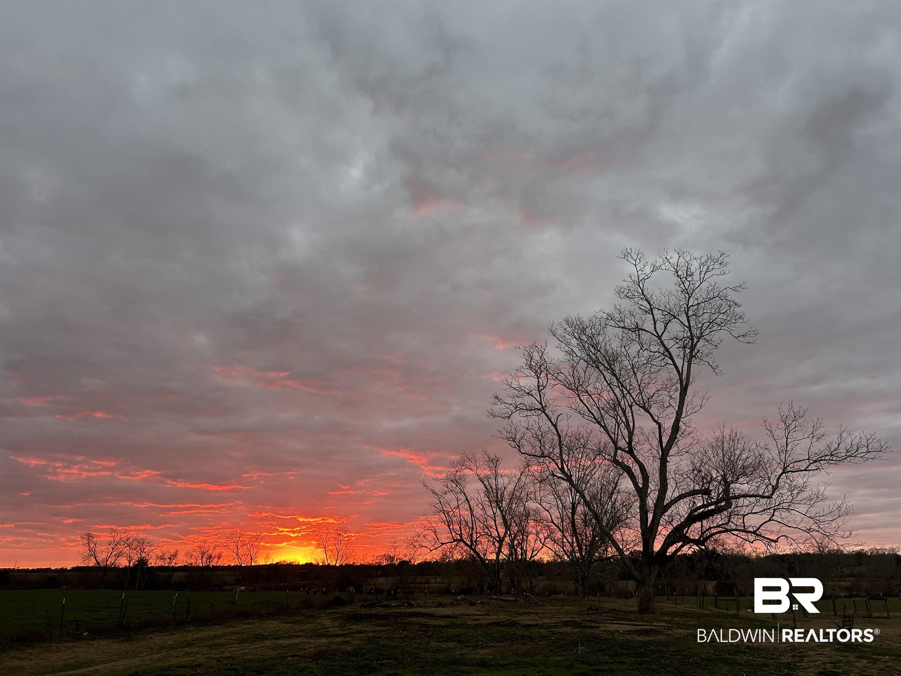 15575 Mikkelsen Road Summerdale, AL 36580 - Photo 68 of 68 Expansive open field featuring a bare tree and distant foliage, under a cloudy sky with a prominent orange and red sunset horizon