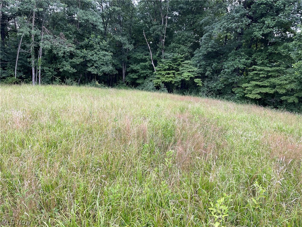 0 Federal Road Cutler, OH 45724 - Photo 2 of 4 Gallery Image 2
