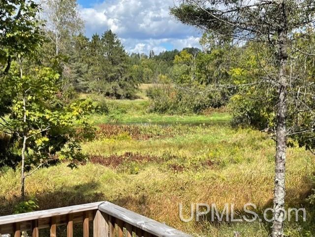 6715 Brule Bridge Road Florence, WI 54121 - Photo 15 of 32 Gallery Image 15