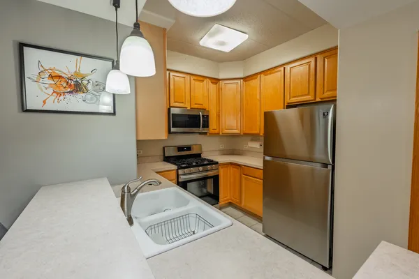 $319,900 | 1745 Pavilion Way, Unit 206, Park Ridge, IL 60068