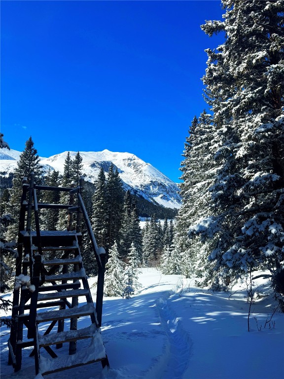 157 Goldfinch Place Alma, CO 80420 - Photo 11 of 34 a view of a patio with table and chairs with wooden floor and fence
