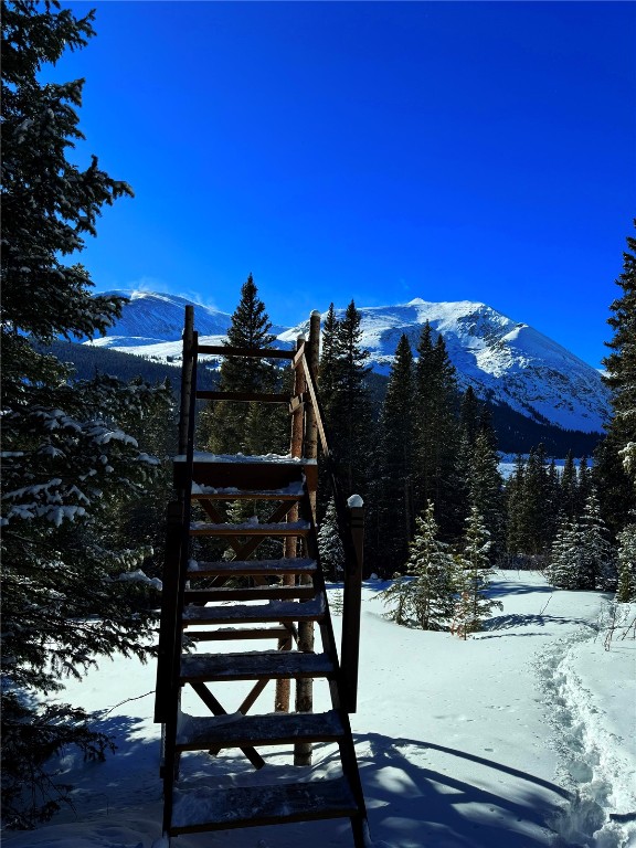 157 Goldfinch Place Alma, CO 80420 - Photo 14 of 34 a view of a house with a yard