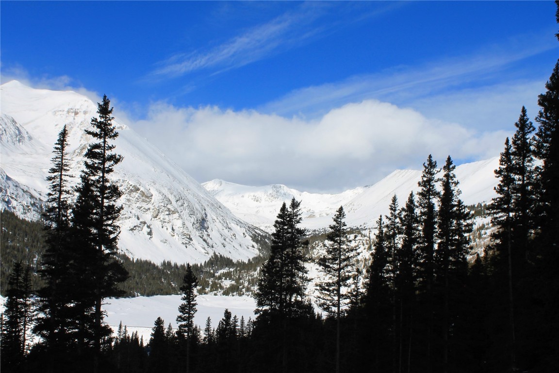 157 Goldfinch Place Alma, CO 80420 - Photo 15 of 34