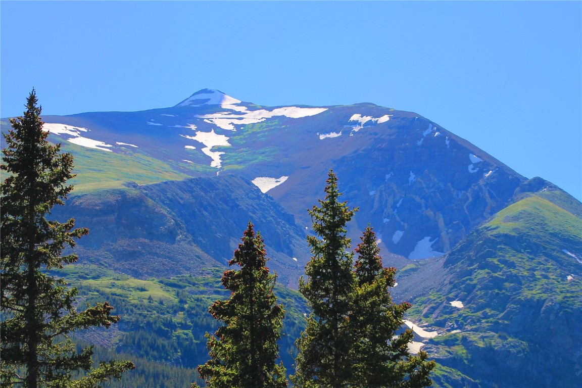 157 Goldfinch Place Alma, CO 80420 - Photo 19 of 34 a view of a backyard