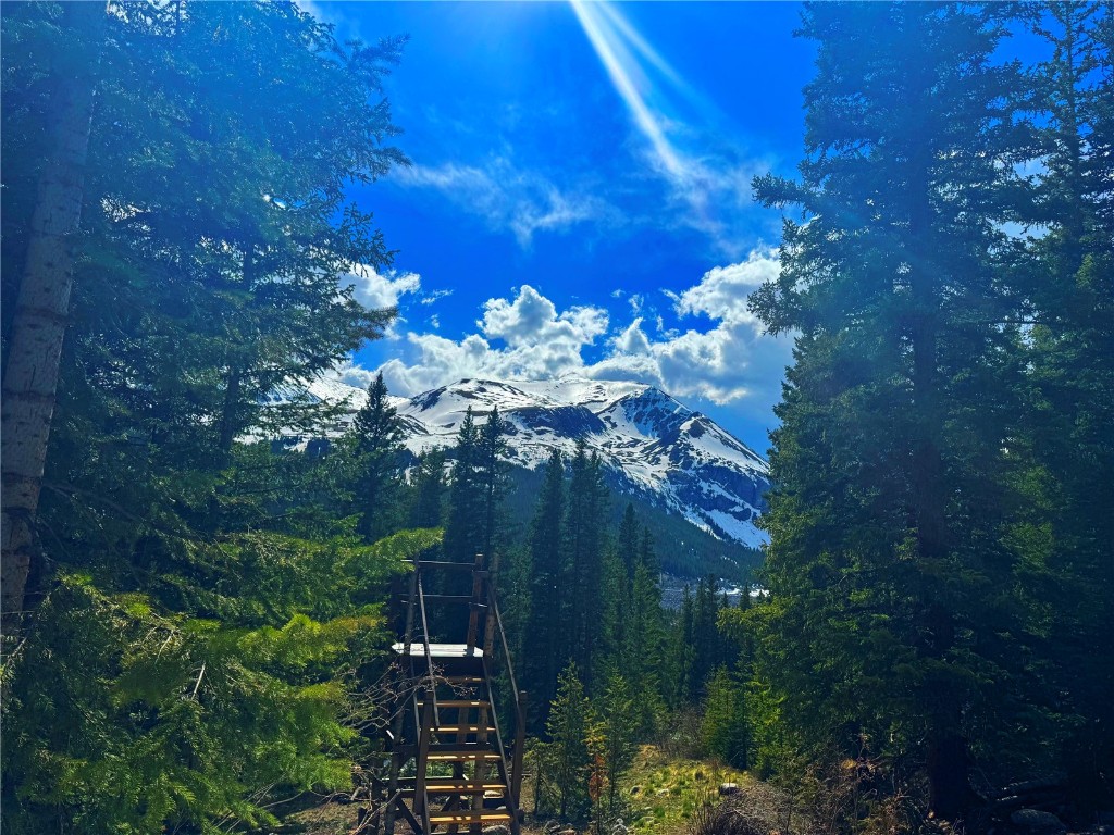 157 Goldfinch Place Alma, CO 80420 - Photo 20 of 34 a view of a tree in a yard