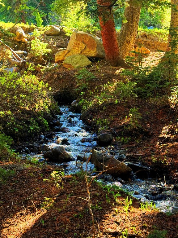 157 Goldfinch Place Alma, CO 80420 - Photo 21 of 34 a view of water tree
