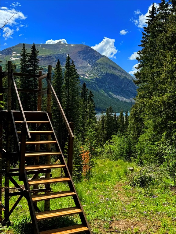 157 Goldfinch Place Alma, CO 80420 - Photo 23 of 34 a view of a backyard with a garden