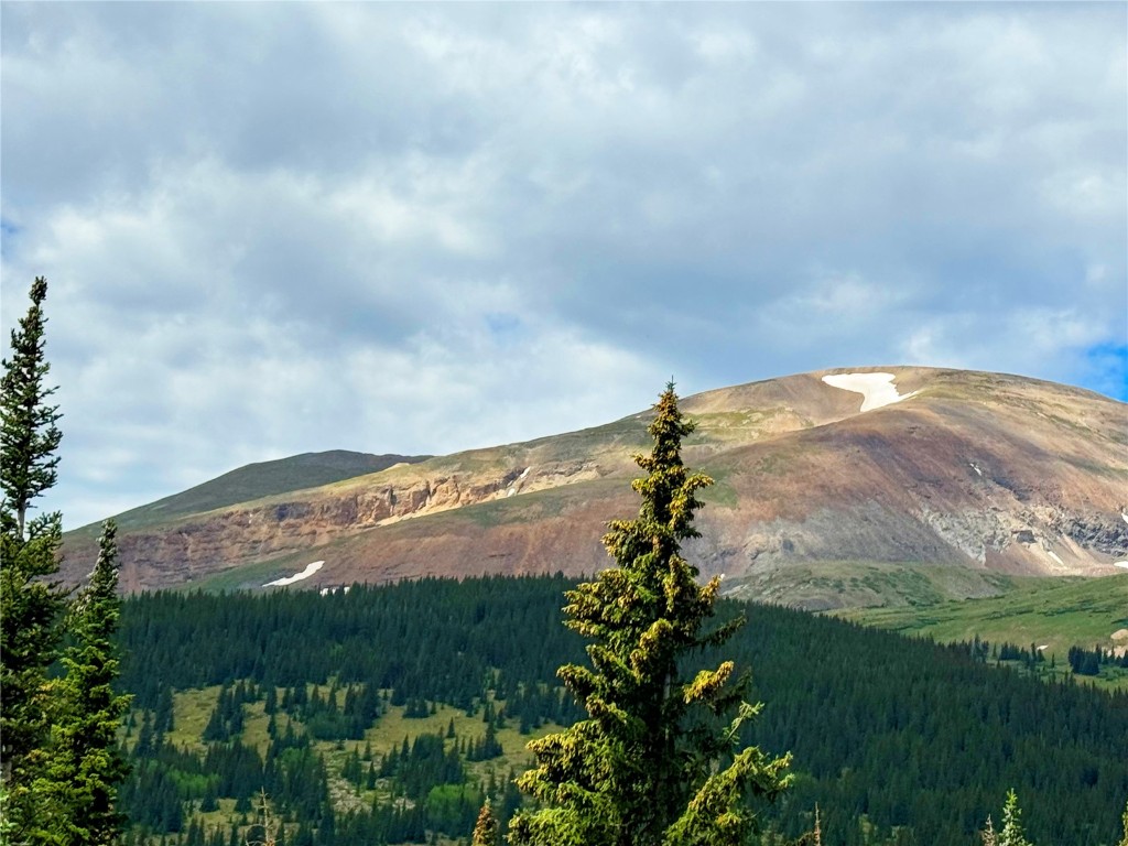 157 Goldfinch Place Alma, CO 80420 - Photo 26 of 34 a view of a pathway with a yard in back