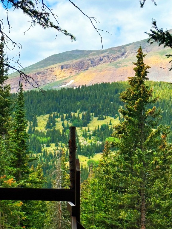 157 Goldfinch Place Alma, CO 80420 - Photo 27 of 34 a view of a lake from a yard