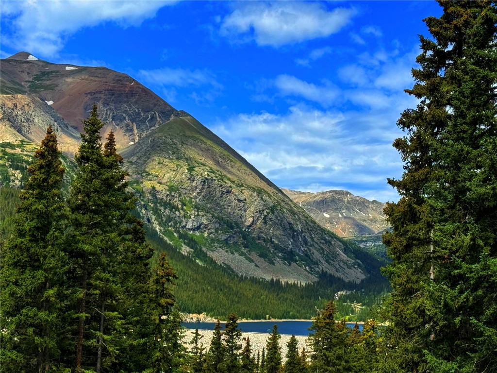 157 Goldfinch Place Alma, CO 80420 - Photo 28 of 34 a view of a field
