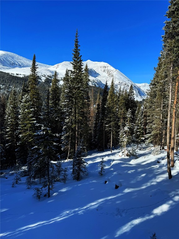 157 Goldfinch Place Alma, CO 80420 - Photo 29 of 34