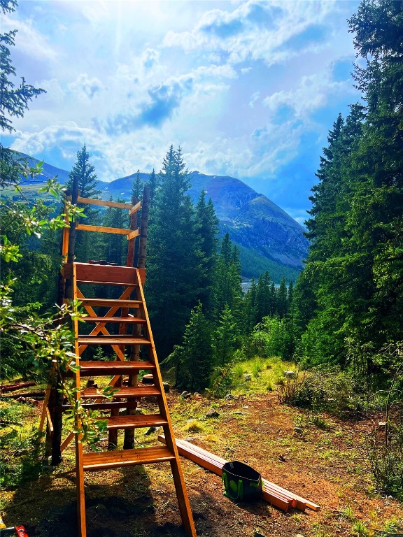 157 Goldfinch Place Alma, CO 80420 - Photo 30 of 34